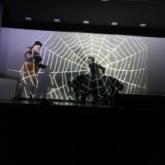 Die Spinne Ygramul.