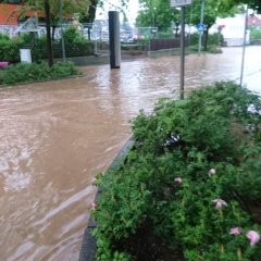 Waldauer Weg in Ochshausen.