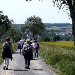 Schöne Wege rund um Vollmarshausen.