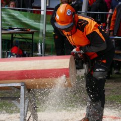 "Einmal unten, einmal oben!": Beim Kombinationsschnitt wird die Holzscheibe von zwei Seiten akkurat vom Stamm abgesägt.
