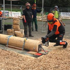 Eine absolut ruhige Hand ist gefragt, um beim Präzisionsschnitt die Holzscheibe abzutrennen, ohne in den Untergrund zu sägen.