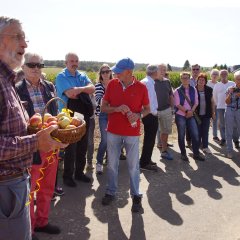 Walter Meiß von der Lokalen Agenda „Umwelt- und Naturschutz“ erklärte die Besonderheiten der Apfelsorte.