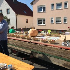 Die Lokale Agenda „Umwelt- und Naturschutz“ informierte rund um das Thema „Apfel“.
