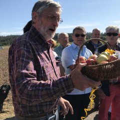 Walter Meiß erläutert Eigenheiten der Sorte "Gravensteiner".