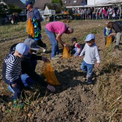 Die Kinder waren mit Feuereifer bei der Sache.
