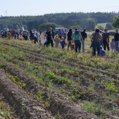 Das Feld im Untersten Weg.