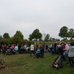 Gut 50 Lohfeldenerinnen und Lohfeldener waren gekommen, um bei der Pflanzung des dritten „Neugeborenenen-Baumes“ in der „Grünen Mitte“ dabei zu sein. So viele wie noch nie!