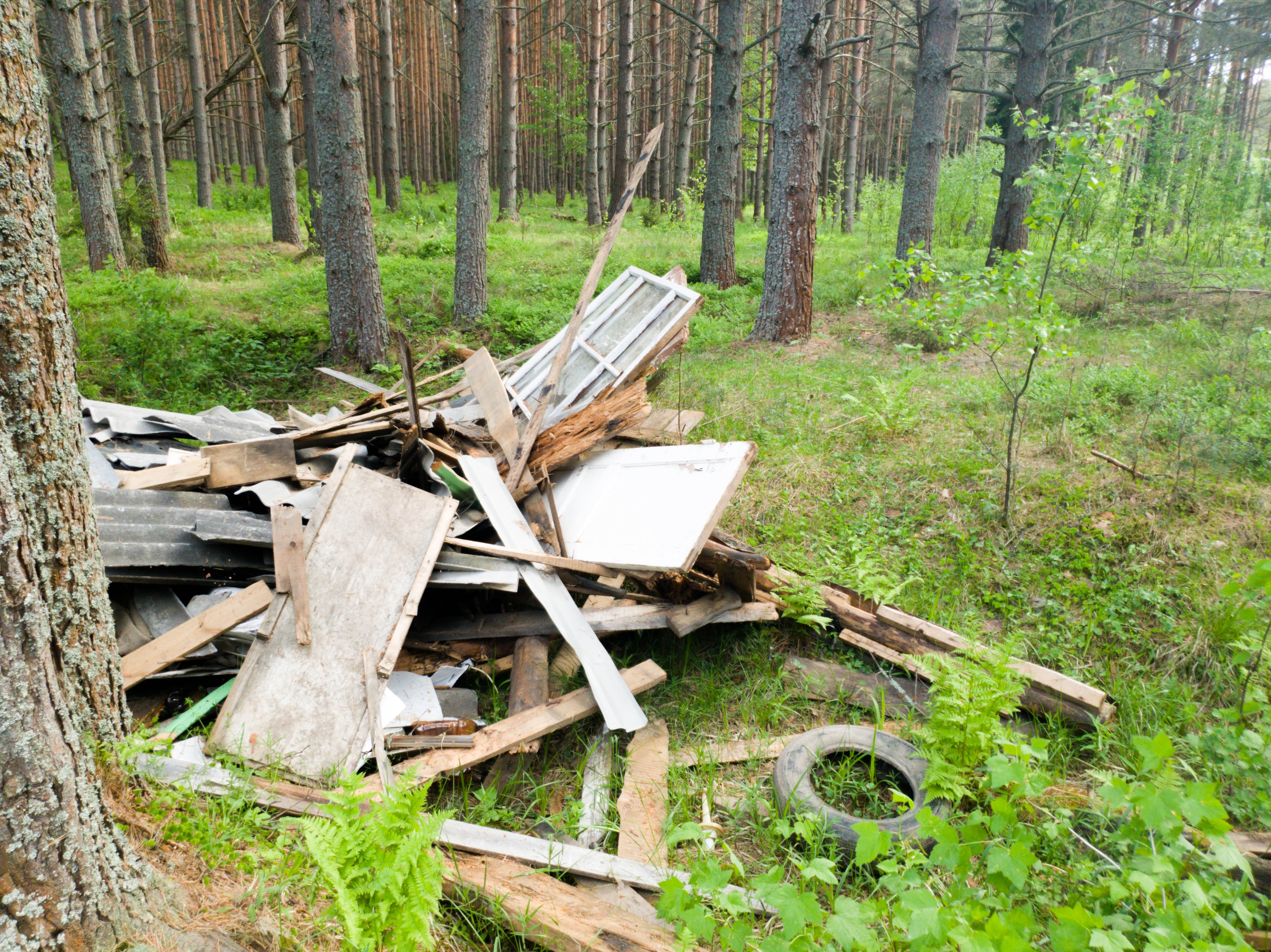 "Wilder Müll" stellt eine Gefahr für die Gesundheit von Mensch und Tier sowie eine Gefährdung von Pflanzen oder eine schädliche Beeinflussung der Gewässer und Böden dar.