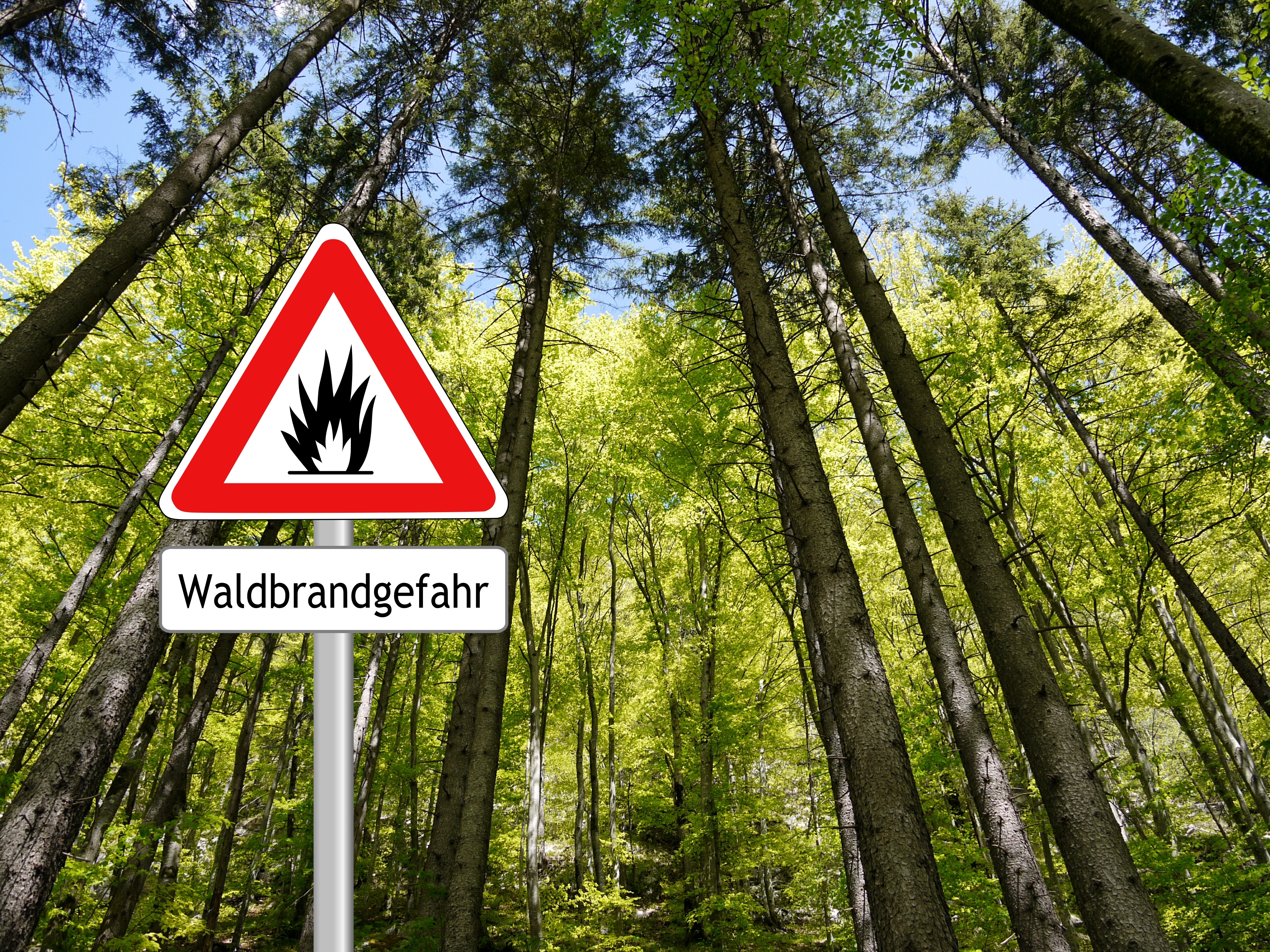 Aufgrund der derzeitigen Wetterlage hat das Hessische Umweltministerium die Waldbrand-Alarmstufe A (hohe Waldbrandgefahr) für alle Landesteile Hessens ausgerufen.