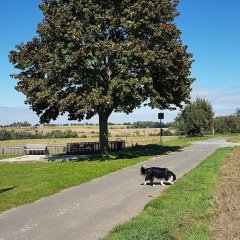 Start des Impulswegs in Vollmarshausen, Unterster Weg.
