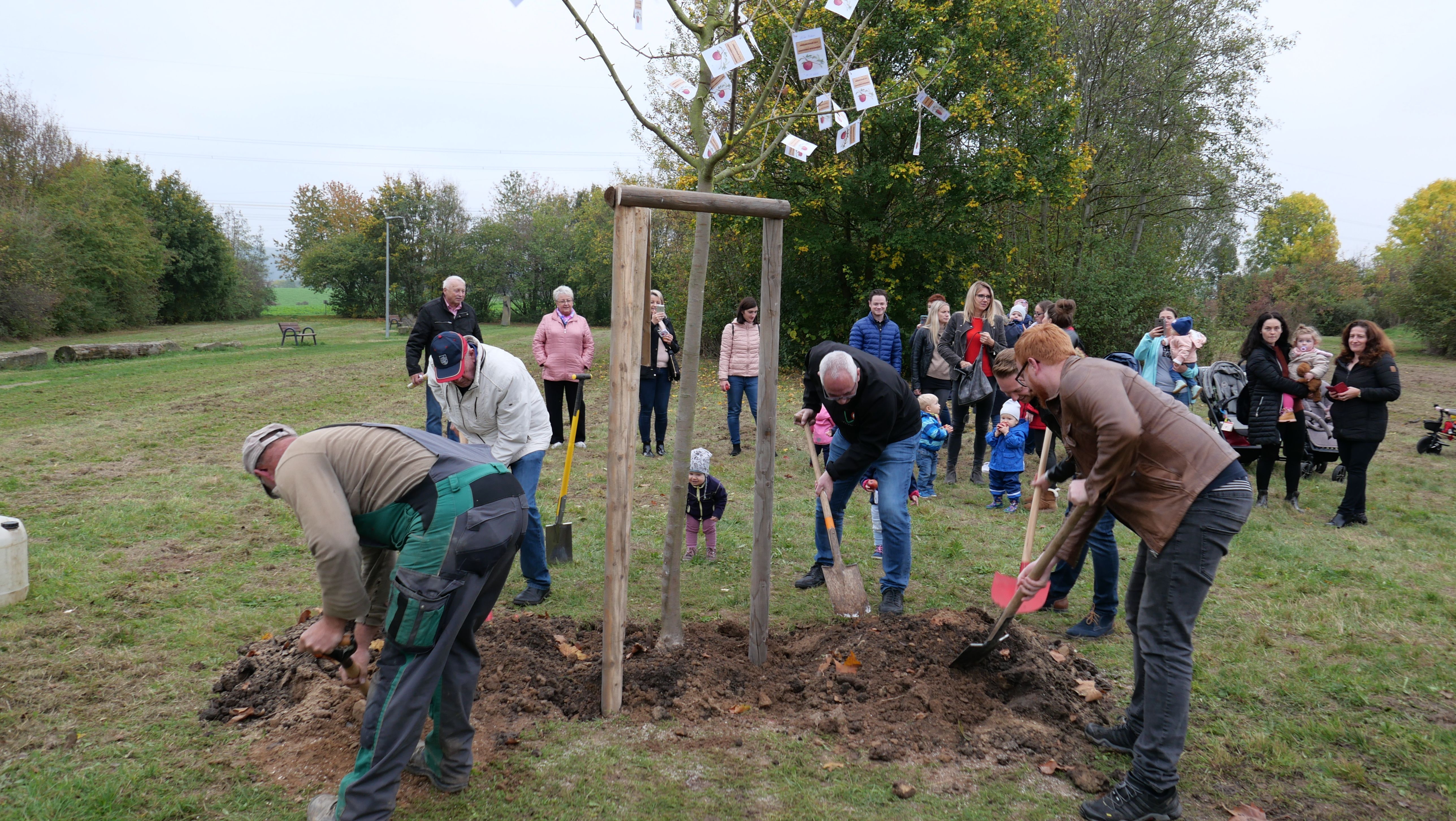 Pflanzung eines Geburts-Apfelbaums in Lohfeldens Grüner Mitte.