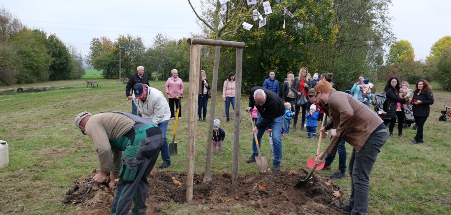 Pflanzung eines Geburts-Apfelbaums in Lohfeldens Grüner Mitte.