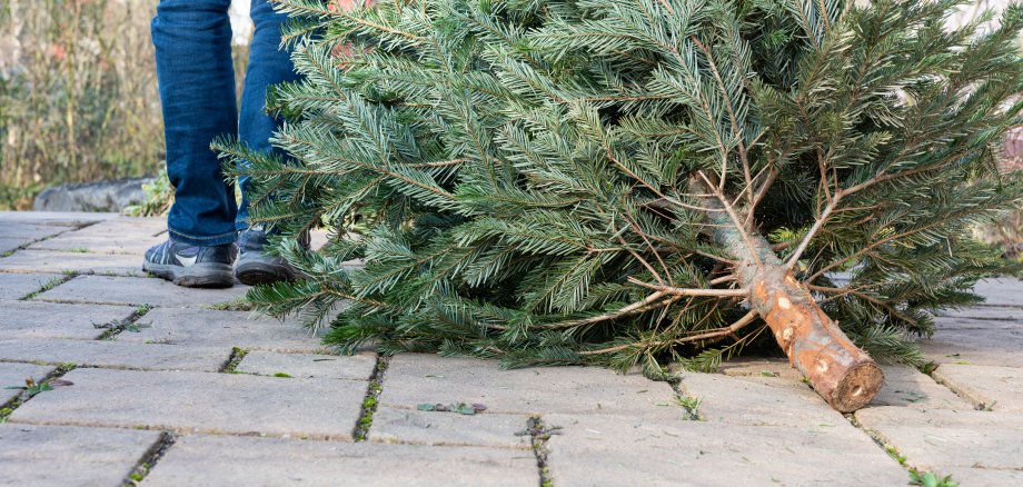 Weihnachtsbaumentsorgung