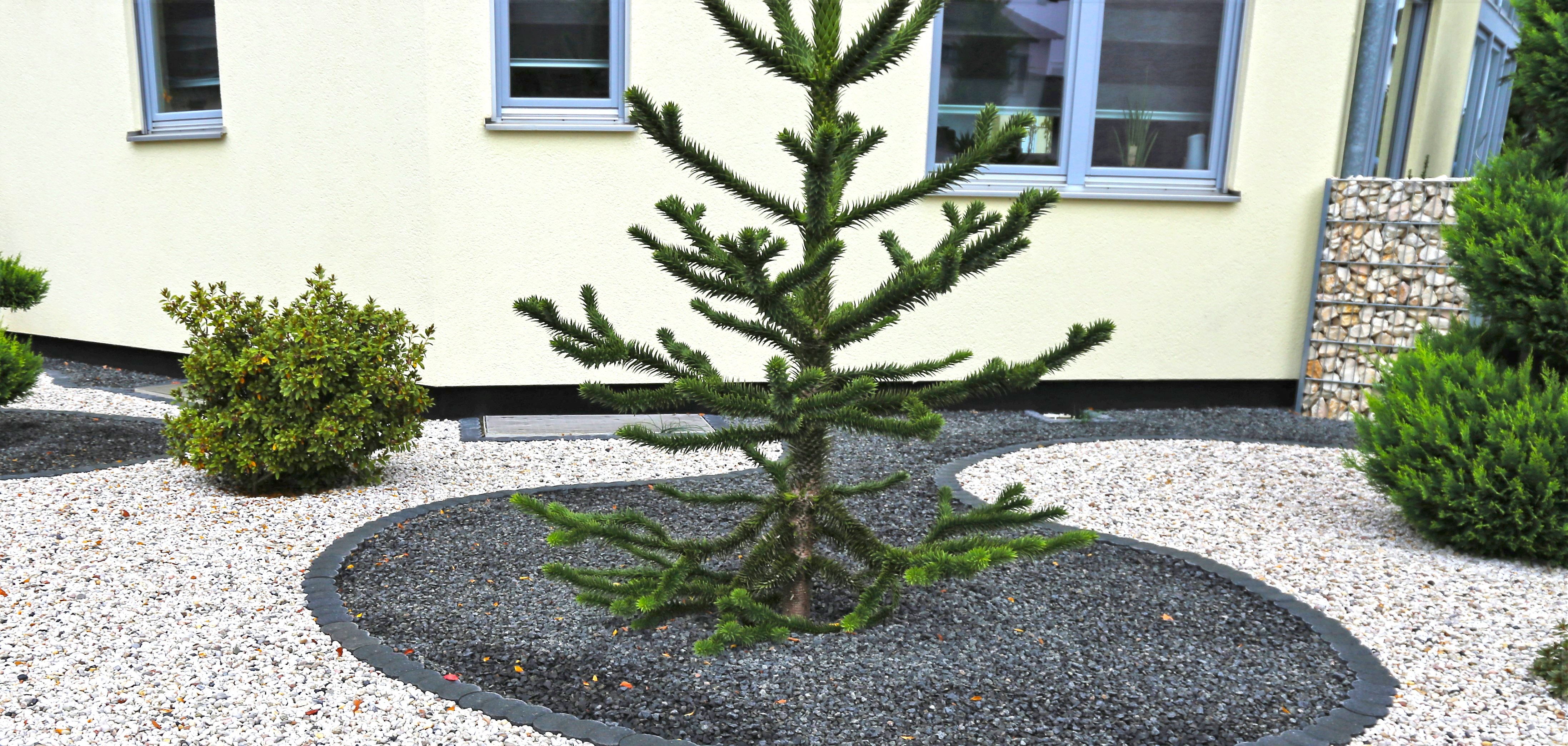 Auf dem Foto ist ein moderner, verschotterter Vorgarten mit einigen Grünpflanzen vor einem hellen Wohnhaus zu sehen.