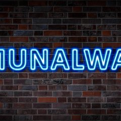 Auf dem Foto sieht man einen hellblauen Schriftzug mit der Aufschrift Kommunalwahlen auf einer dunkelbraunen Backsteinwand.
