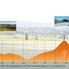 Das Höhenprofil des Rundweges "Baddschensteig".