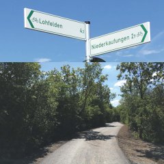 Auf dem Foto ist der neue Radweg zwischen Lohfelden und Kaufungen umgeben von Bäumen zu sehen.