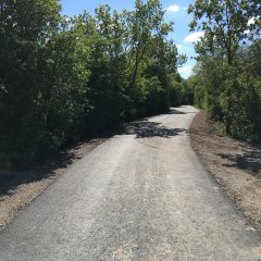 Am 7. Juli lädt die Gemeinde Lohfelden herzlich alle Interessierten zu einer gemeinsamen Fahrradtour anlässlich der offiziellen Einweihung des neuen Radweges zwischen Lohfelden und Kaufungen ein. 