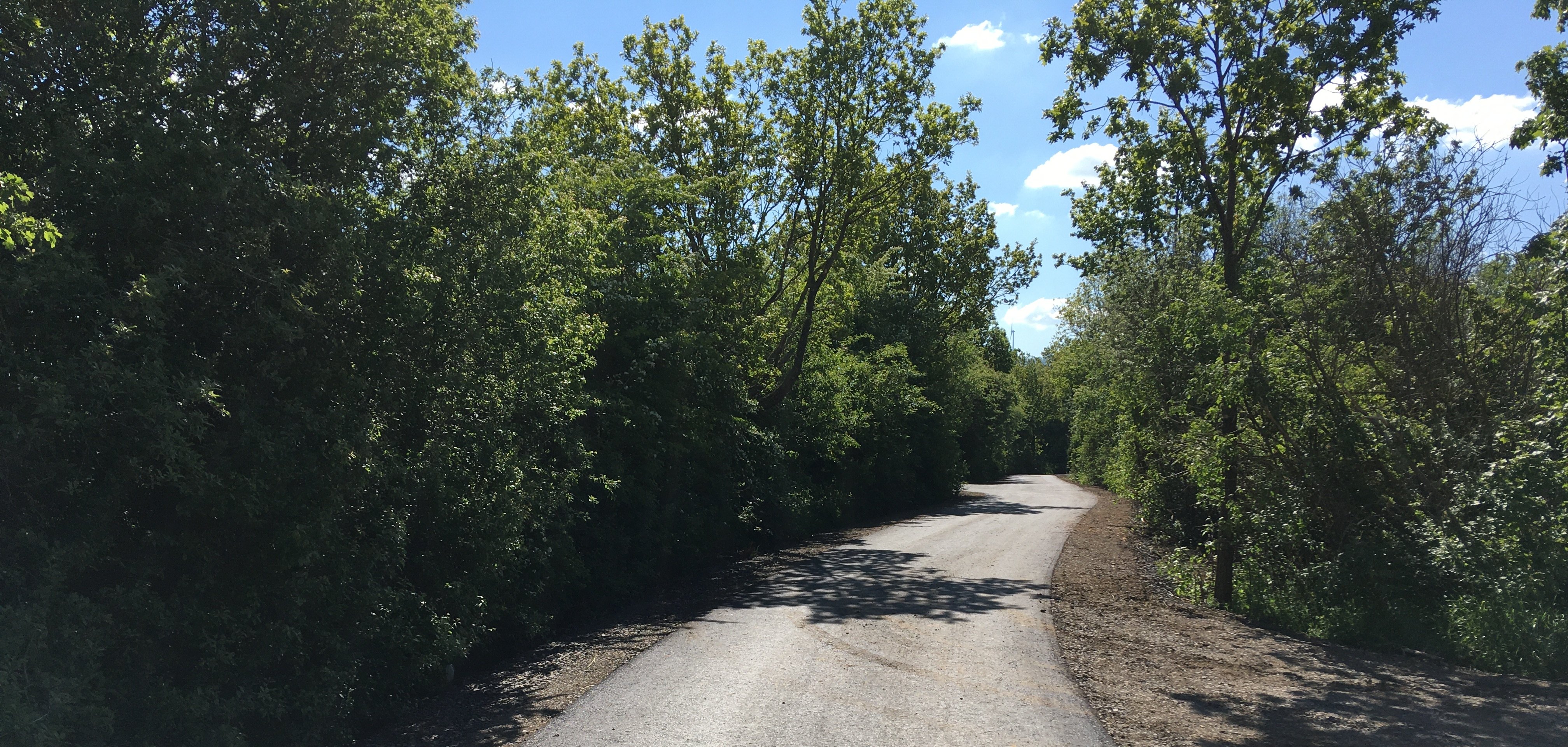 Am 7. Juli lädt die Gemeinde Lohfelden herzlich alle Interessierten zu einer gemeinsamen Fahrradtour anlässlich der offiziellen Einweihung des neuen Radweges zwischen Lohfelden und Kaufungen ein. 