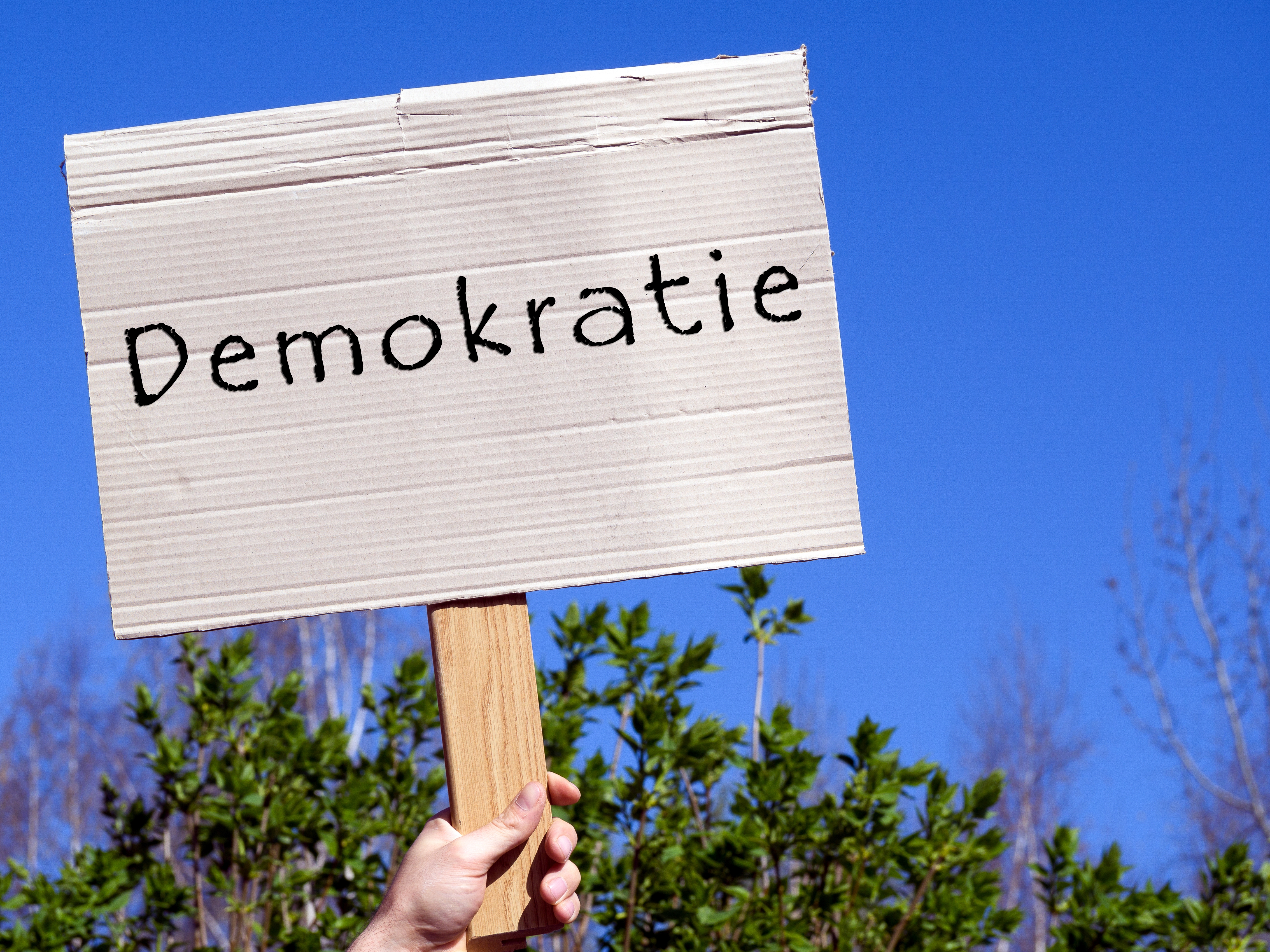 Auf dem Foto ist ein braunes Pappschild mit dem Schriftzug Demokratie zu lesen. Eine Hand hält den Holzgriff des Schildes in die Luft. Im Hintergrund sind ein blauer Himmel und die grünen Blätter eines Baumes zu sehen.