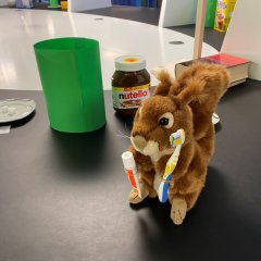 So viel Zucker? Unser Lohhörnchen wundert sich!