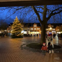 Blick auf den Vorplatz des Rathauses, weihnachtlich stimmungsvoll mit beleuchteter Tanne.
