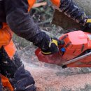 Im Zuge der vorbereitenden Maßnahmen für den Bau der neuen Kindertagesstätte im Quellenweg Ecke Lange Straße (auf dem öffentlichen Grundstück neben der vorhandenen Kindertagesstätte) fallen in der ersten Januarwoche 2022 noch einige Baum- und Gehölzarbeiten an.