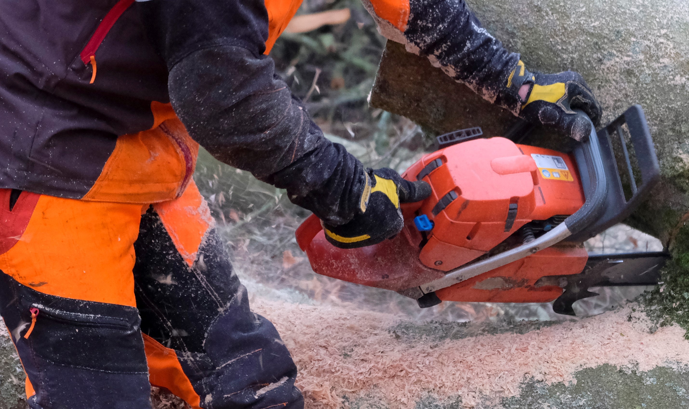 Baubeginn der Sanierung des Straßenbegleitgrüns im Quellenweg 