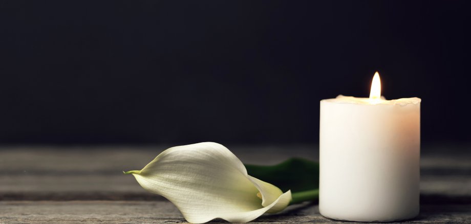 Neue Urnengemeinschaftsgrabanlage Hauptfriedhof Lohfelden