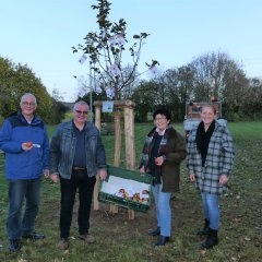 Baum mit Plakatte erfolgreich aufgestellt: Zum Abschluss verteilten (v.l.n.r.) Bürgermeister Uwe Jäger, Mitglied des Gemeindevorstands, Armin Brethauer, Erste Beigeordnete Bärbel Fehr und Rathaus-Mitarbeiterin Danica Wurmbach Äpfel mit einem Willkommens-Gruß des Bürgermeisters an alle Gäste.