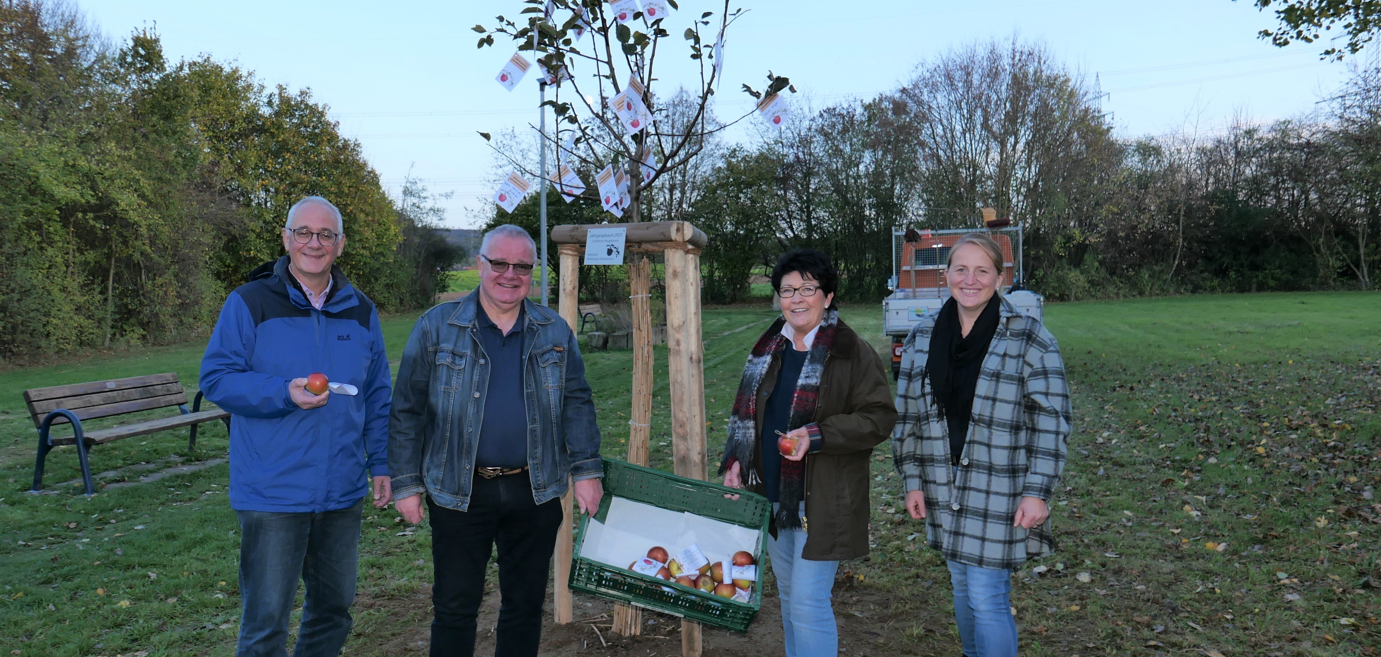 Baum mit Plakatte erfolgreich aufgestellt: Zum Abschluss verteilten (v.l.n.r.) Bürgermeister Uwe Jäger, Mitglied des Gemeindevorstands, Armin Brethauer, Erste Beigeordnete Bärbel Fehr und Rathaus-Mitarbeiterin Danica Wurmbach Äpfel mit einem Willkommens-Gruß des Bürgermeisters an alle Gäste.