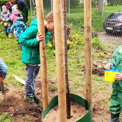 Auch für die richtige Bewässerung des frisch eingesetzten Baumes sorgten die Kinder.