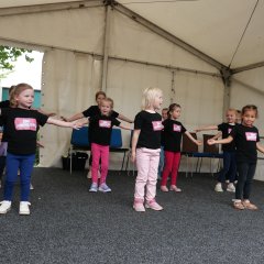 Der Auftritt der Großen der Kita „Die kleinen Strolche“ zu „Baby Shark“ unter der Leitung von Kita-Leiterin Anni Kuhlmann sowie Michelle und Denise Rosandic war sehr gelungen.