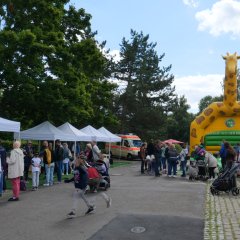 Parklplatz mit Pavillons und Hüpfburg.