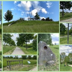 Mitten in Lohfelden - zwischen Vollmarshausen und Crumbach - befindet sich das Naherholungsgebiet „Lohfeldens Grüne Mitte“ mit Aufenthalts-, Spiel- und Sportbereichen. Dazu gehören Spielflächen für Kleinkinder, ein Sinnespfad und ein Fitness-Parcours sowie ein Geschicklichkeits-Parcours.   Für die Geschicklichkeit gibt es Pedalos, Basketball, Seile zum Balancieren, ein Labyrinth, Klettermöglichkeiten und einen Hindernislauf. Große und Kleine können im großen Sandkasten spielen, schaukeln oder auf der großen Rutsche hinunter sausen.  Seine Sinne üben kann mit fühlen, riechen oder hören. Auf dem Weg zur Grünen Mitte befinden sich in der Langen Straße die Kraft-  Auf dem höchsten Punkt Lohfeldens steht hier die weithin sichtbare Aussichtsplattform mit der „Tanz-Eiche“, die einen herrlichen Blick über die drei Ortsteile, das Kasseler Becken, die Söhre und den Kaufunger Wald bietet. Vom Rathaus führt ein großräumiger Fitness-Parcours mit 13 Kraft-Fitness-Geräten vom Armzug, Rückenstrecken, über Sit-ups, Rumpfseitheben und Stützspringen bis zu Liegestützen zur Grünen Mitte und zurück, daneben gibt es noch eine markierte Laufstrecke über 5 km.   Der Eintritt frei, das Gelände ist ganzjährig nutzbar. 