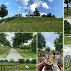 Mitten in Lohfelden - zwischen Vollmarshausen und Crumbach - befindet sich das Naherholungsgebiet „Lohfeldens Grüne Mitte“ mit Aufenthalts-, Spiel- und Sportbereichen. Dazu gehören Spielflächen für Kleinkinder, ein Sinnespfad und ein Fitness-Parcours sowie ein Geschicklichkeits-Parcours.   Für die Geschicklichkeit gibt es Pedalos, Basketball, Seile zum Balancieren, ein Labyrinth, Klettermöglichkeiten und einen Hindernislauf. Große und Kleine können im großen Sandkasten spielen, schaukeln oder auf der großen Rutsche hinunter sausen.  Seine Sinne üben kann mit fühlen, riechen oder hören. Auf dem Weg zur Grünen Mitte befinden sich in der Langen Straße die Kraft-  Auf dem höchsten Punkt Lohfeldens steht hier die weithin sichtbare Aussichtsplattform mit der „Tanz-Eiche“, die einen herrlichen Blick über die drei Ortsteile, das Kasseler Becken, die Söhre und den Kaufunger Wald bietet. Vom Rathaus führt ein großräumiger Fitness-Parcours mit 13 Kraft-Fitness-Geräten vom Armzug, Rückenstrecken, über Sit-ups, Rumpfseitheben und Stützspringen bis zu Liegestützen zur Grünen Mitte und zurück, daneben gibt es noch eine markierte Laufstrecke über 5 km.   Der Eintritt frei, das Gelände ist ganzjährig nutzbar.