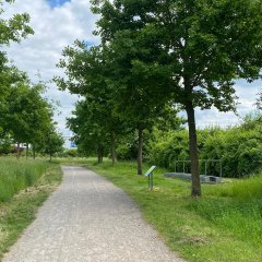 Naherholung - Spiel und Spaß im Grünen in der Grünen Mitte Lohfelden.