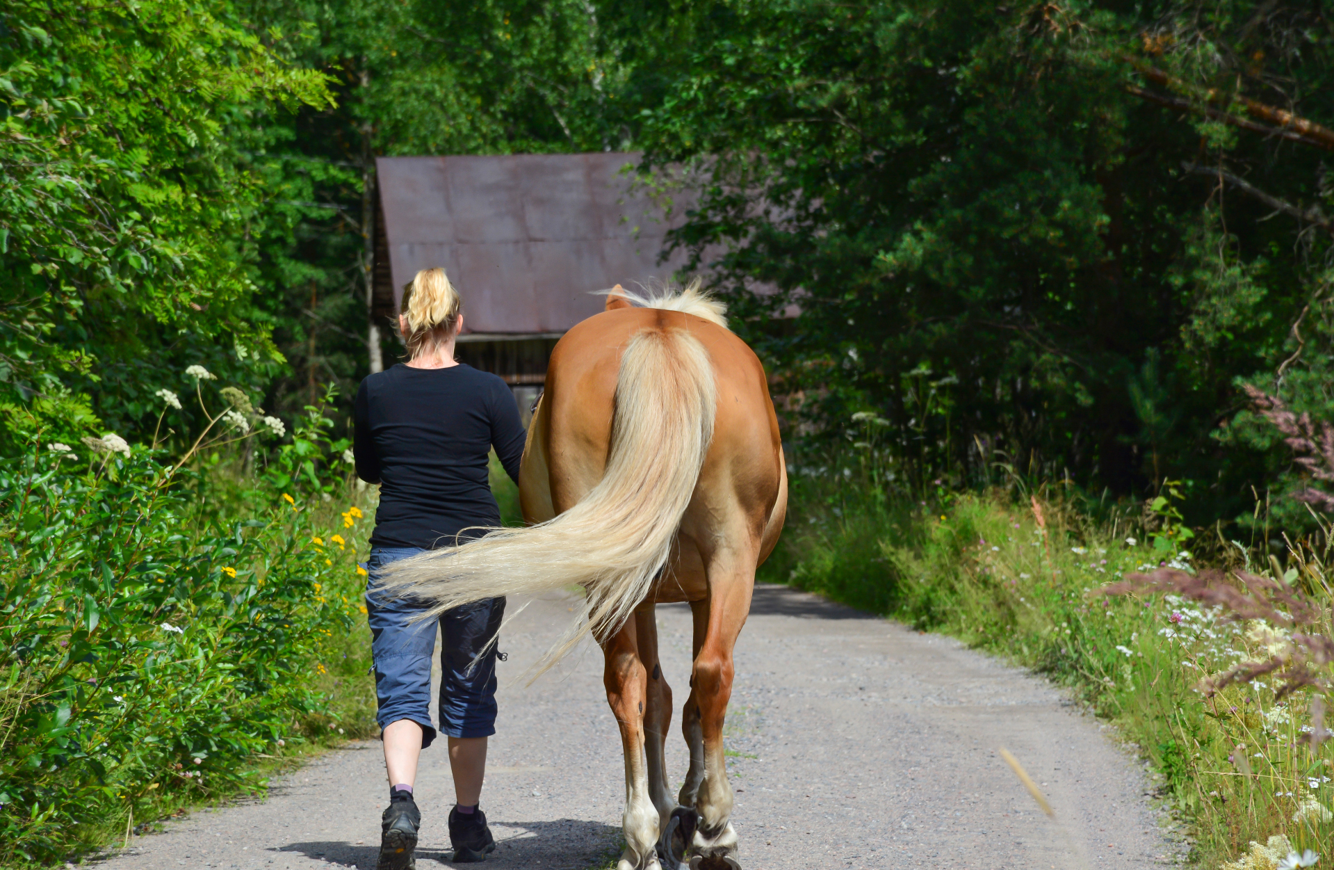 In der Feldflur oder auch auf Wegen im Wald ist das Bundesnaturschutzgesetz sowie das Bundeswaldgesetz ergänzend zu beachten.