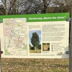 Die Informationstafel beschreibt den Rundweg zu den Bäumen des Jahres, die in der Gemeinde Lohfelden angepflanzt wurden.