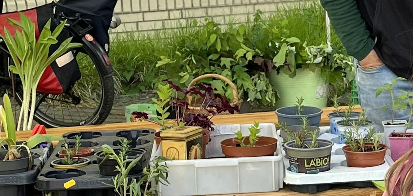 Gartenberater des Verbands Wohneigentum, Martin Breidbach.