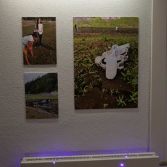 Angekommen in Deutschland