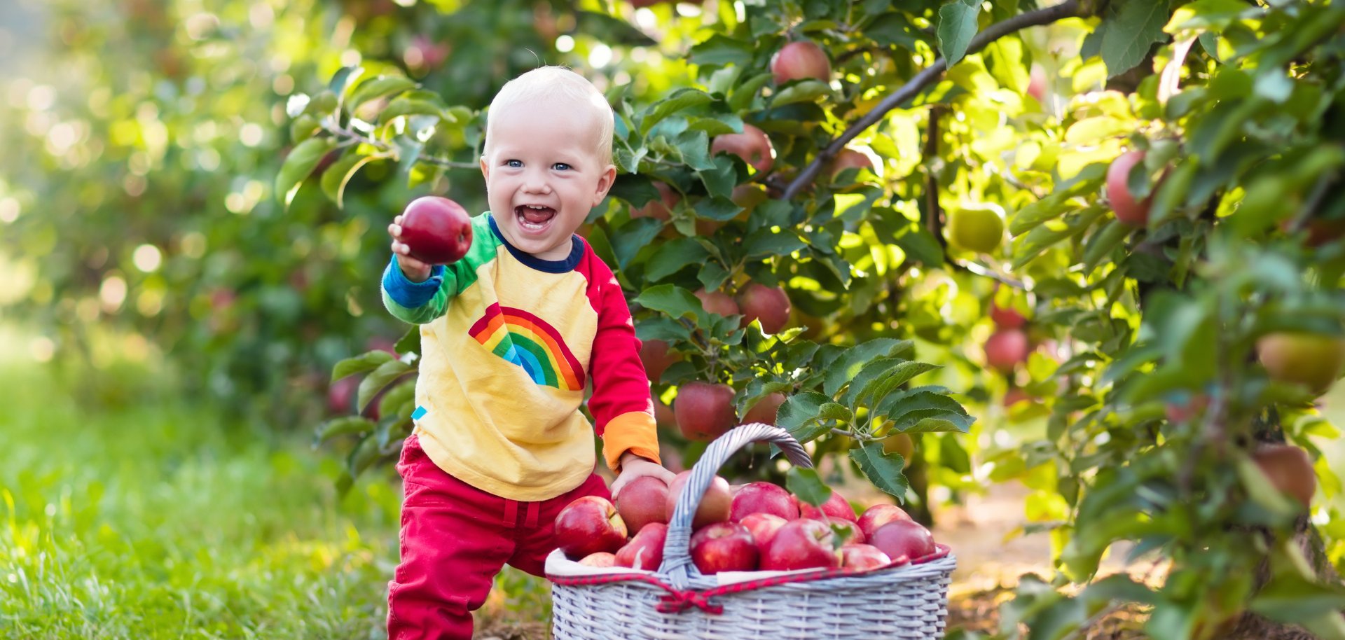 Die Gemeinde Lohfelden pflanzt für alle Neugeborenen aus dem Jahr 2024 einen personalisierten Apfelbaum als Symbol des Gedeihens und Wachstums. Die Gemeinde Lohfelden pflanzt für alle Neugeborenen aus dem Jahr 2024 einen personalisierten Apfelbaum als Symbol des Gedeihens und Wachstums.