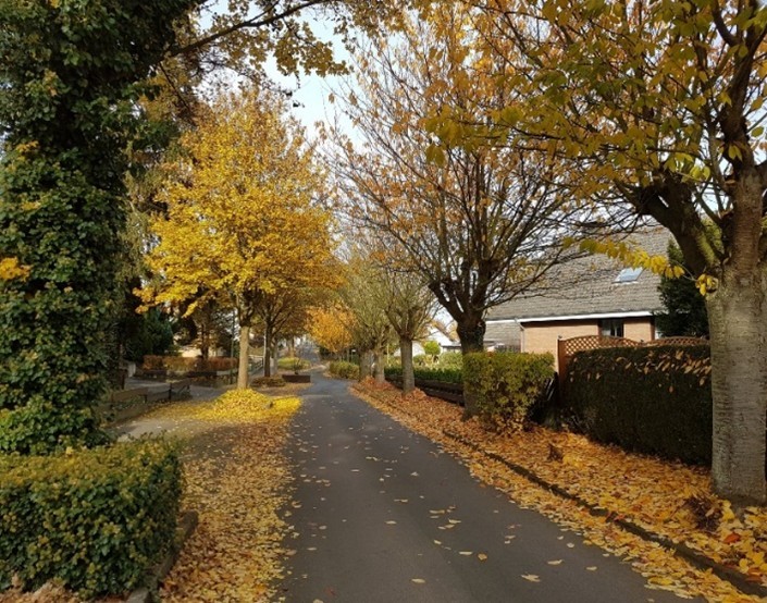 Blick in die Straße Quellenweg in Lohfelden