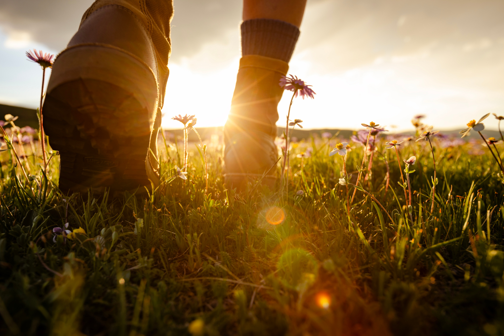 Wanderin Wanderweg Wanderung Wanderstiefel Gras