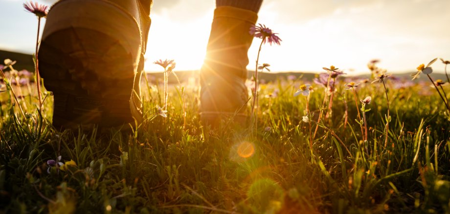 Wanderin Wanderweg Wanderung Wanderstiefel Gras Wanderin Wanderweg Wanderung Wanderstiefel Gras