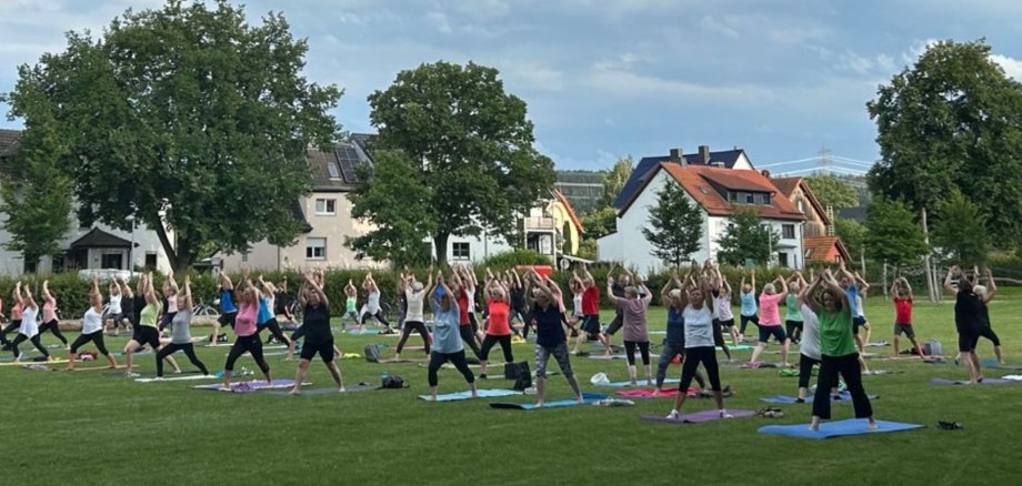 Yogasommer in Lohfelden Blick auf eine Wiese, wo viele Menschen Yoga-Übungen absolvieren
