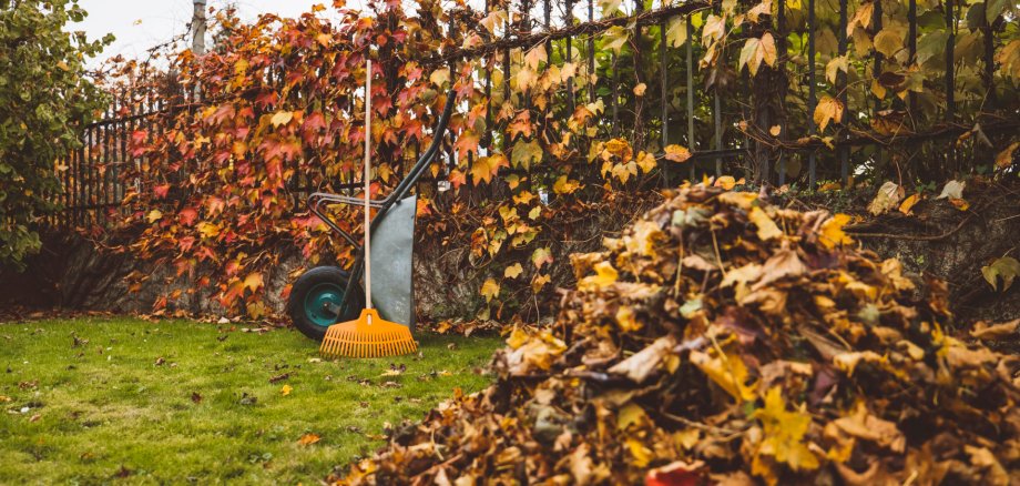 Haufen Herbstlaub Herbstblätter Schubkarre mit Rechen Haufen Herbstlaub Herbstblätter Schubkarre mit Rechen