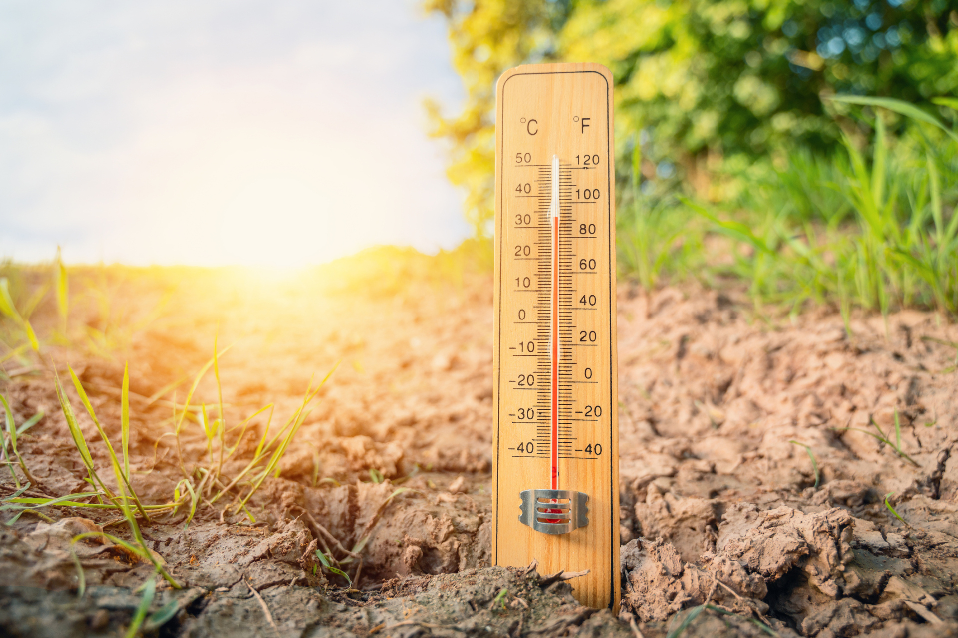 Hitzewelle im Sommer, Thermometer an sonnigen heißen Tagen, Wettervorhersage im Sommer, Temperatur messen, trockener Boden