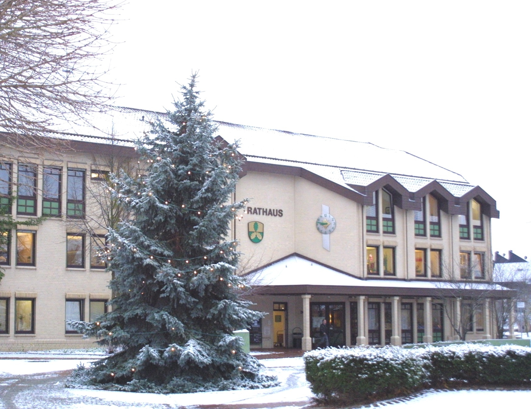 Große Tanne auf dem Rathausplatz.