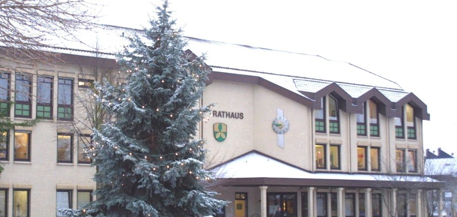 Große Tanne auf dem Rathausplatz.